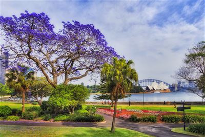 Botanischer Garten Sydney